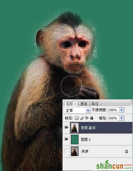 PS教程:使用PS抽出滤镜抠出黑白毛发
