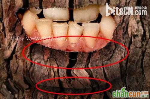 PS合成恐怖效果的树皮人脸效果教程