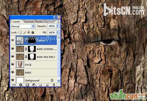 PS合成恐怖效果的树皮人脸效果教程