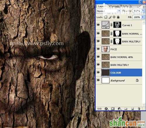 PS合成恐怖效果的树皮人脸效果教程