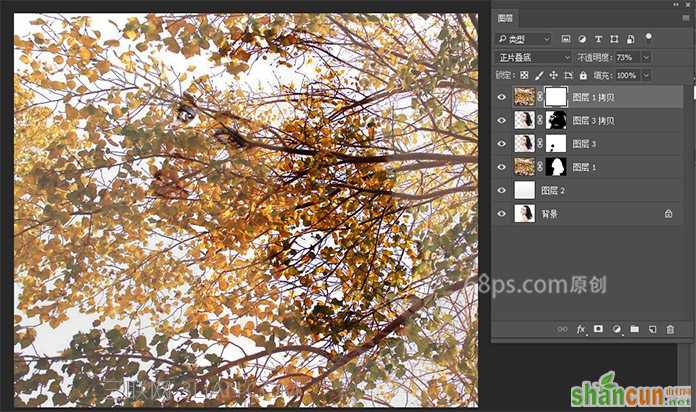 合成人物头像与树枝重影效果的PS教程
