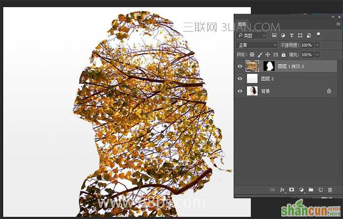 合成人物头像与树枝重影效果的PS教程