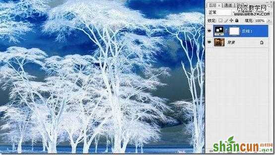photoshop抠图教程-利用反相操作抠出复杂树木