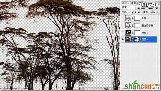 photoshop抠图教程-利用反相操作抠出复杂树木