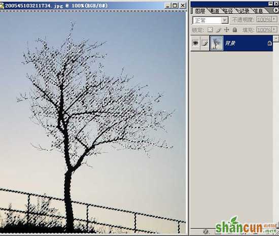 photoshop抠图教程-树枝抠图方法