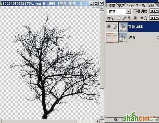 photoshop抠图教程-树枝抠图方法