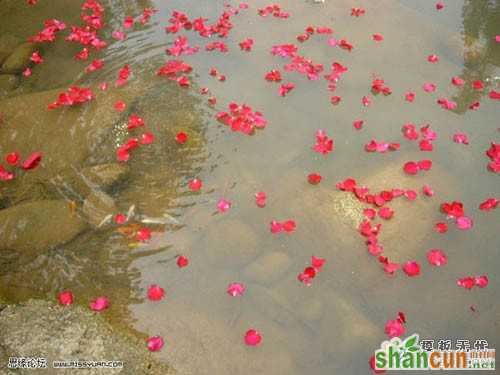 PS抠出水中红花 山村