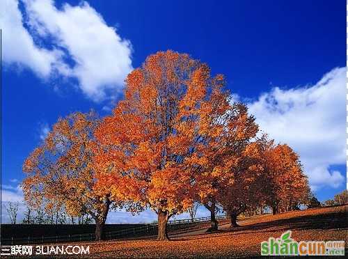 photoshop通道抠繁密的树枝 山村