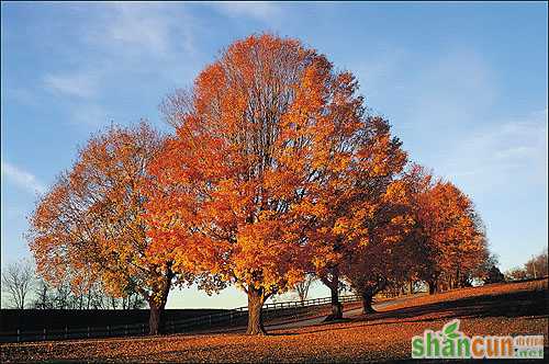 PS使用通道扣图换掉蓝天教程 山村