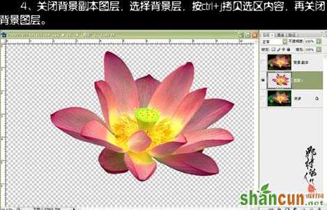 photoshop抠图教程-使用快速通道抠荷花