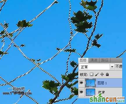 Photoshop抠图教程:通道和计算命令抠图实例