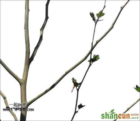 Photoshop抠图教程:通道和计算命令抠图实例