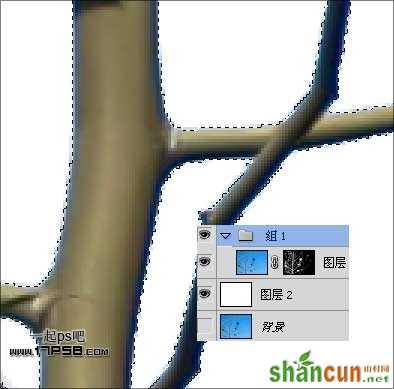 Photoshop抠图教程:通道和计算命令抠图实例