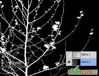 Photoshop抠图教程:通道和计算命令抠图实例