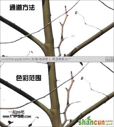 Photoshop抠图教程:通道和计算命令抠图实例