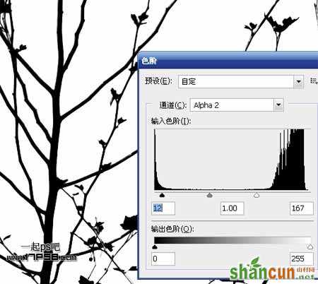 Photoshop抠图教程:通道和计算命令抠图实例