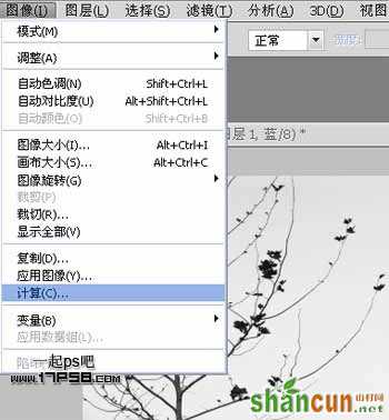 Photoshop抠图教程:通道和计算命令抠图实例
