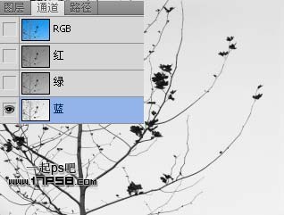 Photoshop抠图教程:通道和计算命令抠图实例