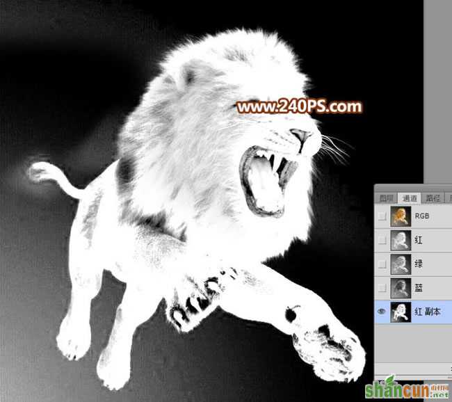利用PS通道完美抠出跳跃的狮子图片