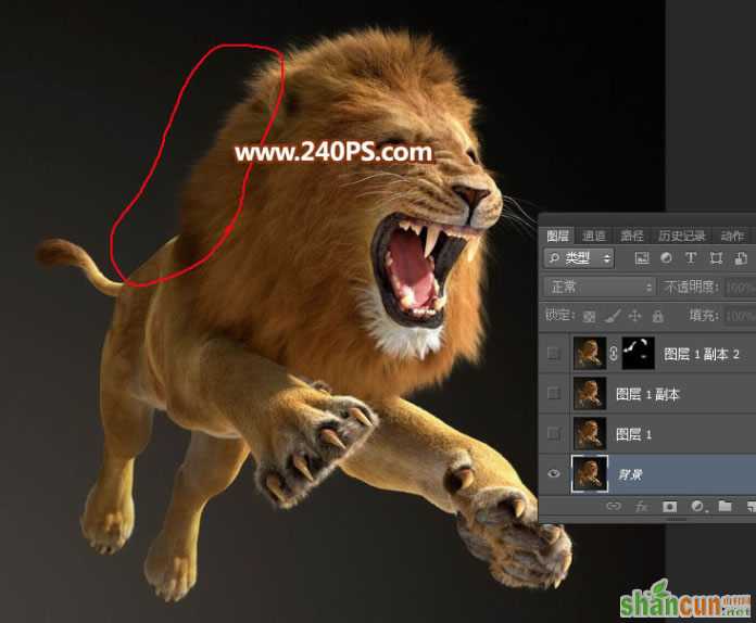 利用PS通道完美抠出跳跃的狮子图片