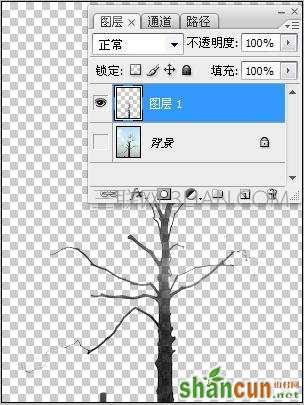 Photoshop实例：计算命令抠图