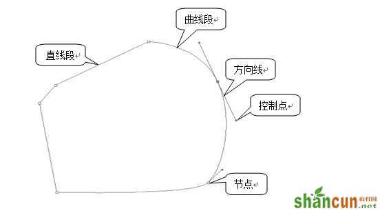 ps钢笔工具组怎么用 ps钢笔工具使用方法