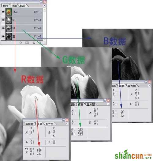 选择的艺术 从入门到精通深度剖析PS通道