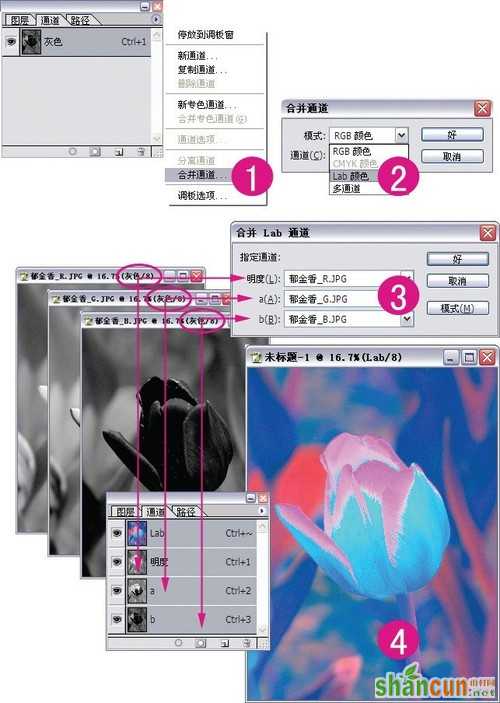 选择的艺术 从入门到精通深度剖析PS通道