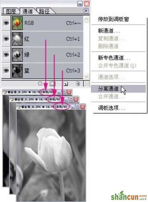 选择的艺术 从入门到精通深度剖析PS通道