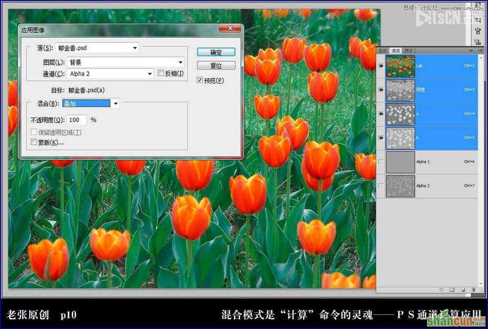 Photoshop利用计算命令计算出精确选区调整图片颜色