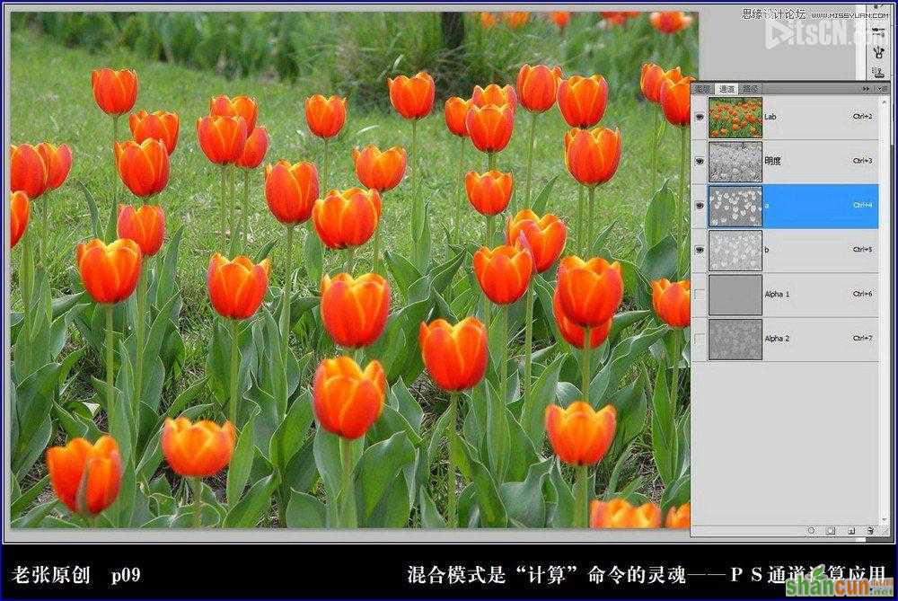 Photoshop利用计算命令计算出精确选区调整图片颜色