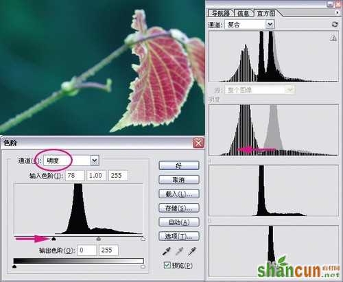 摄影后期调整图像必备 通道的修改手段