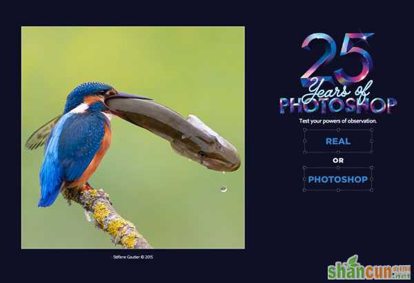 Photoshop 25周年庆专题