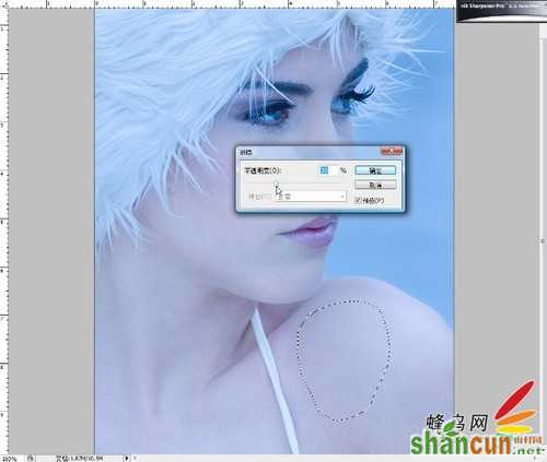 Adobe Photoshop CS3肖像修饰技巧之一高调人像