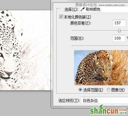 Photoshop制作逼真的豹纹花型图案教程,PS教程,思缘教程网