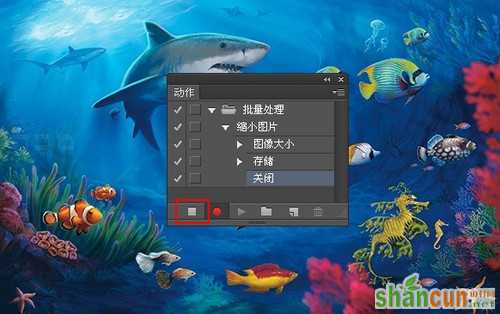 如何使用photoshop批量处理摄影图片