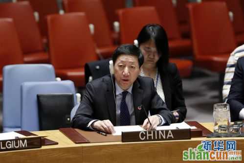 （国际·图文互动）中国代表：“两国方案”是化解巴以冲突的根本出路