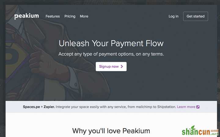 peakium dark subs<em></em>cription landing page design