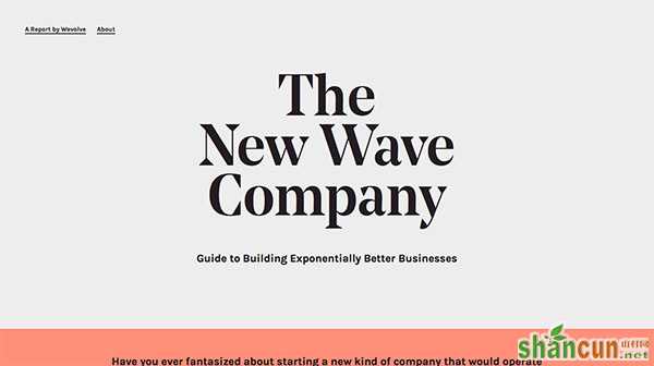 The New Wave Company