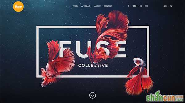 Fuse Collective