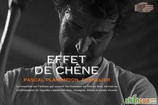 savoir faire pascal plamo<em></em>ndon website homepage