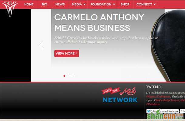 carmelo anthony professio<em></em>nal basketball player website