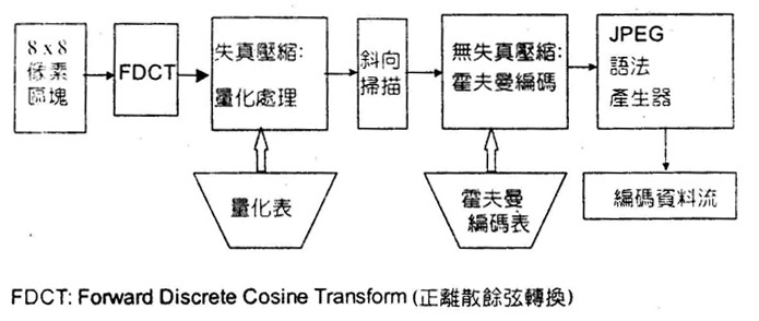 正离散余弦转换