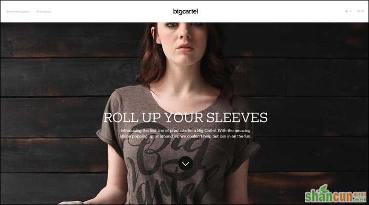 damndigital_21-inspiring-examples-of-big-images-in-web-design_big-cartel-shop