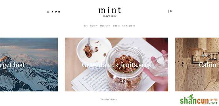 magazine-mint.fr_