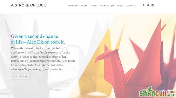 A Stroke of Luck in 35 Minimalistic Website Designs for December 2013
