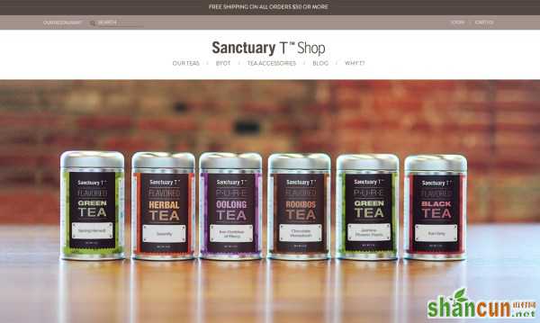 Sanctuary T Shop