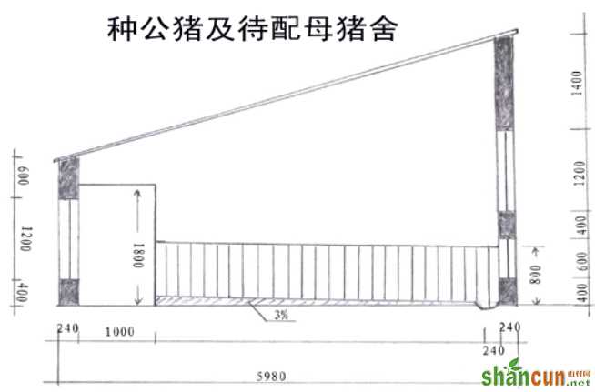 种公猪、待配母猪舍示意图