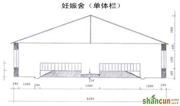 妊娠舍示意图