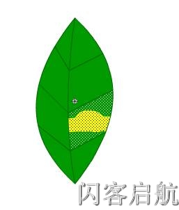 flash基础教程-刷子工具